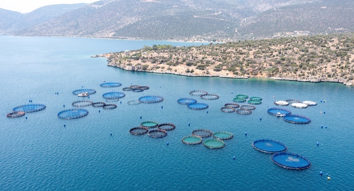 Greece (EU)