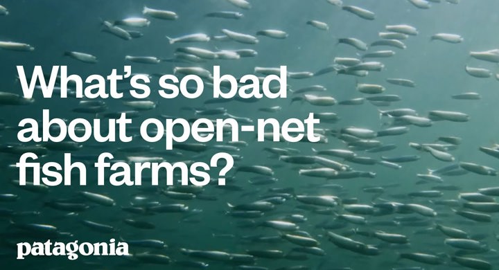 What's So Bad About Open-Net Fish Farms?