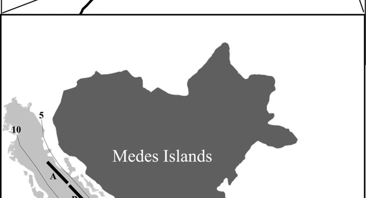 Seasonal and small-scale spatial variability of herbivory pressure on the temperate seagrass Posidonia oceanica