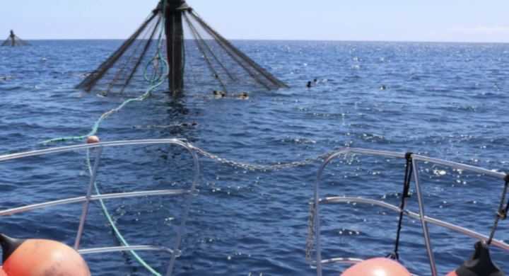 State by State Summary of Finfish Aquaculture Leasing/Permitting Requirements (2021)