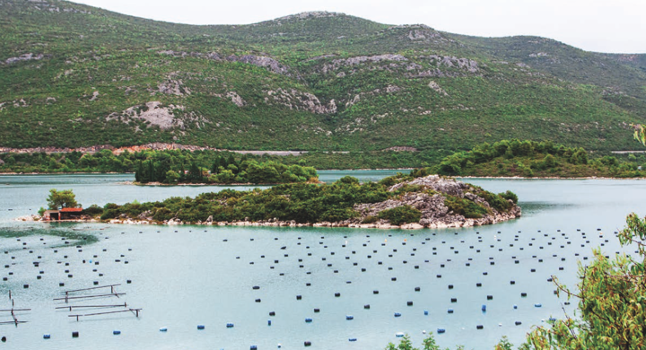Safeguarding Marine Protected Areas in the Growing Mediterranean Blue Economy