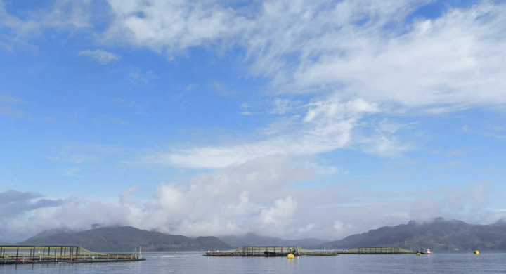 TRACKing of PLASTtic emissions from aquaculture industry (TrackPlast)