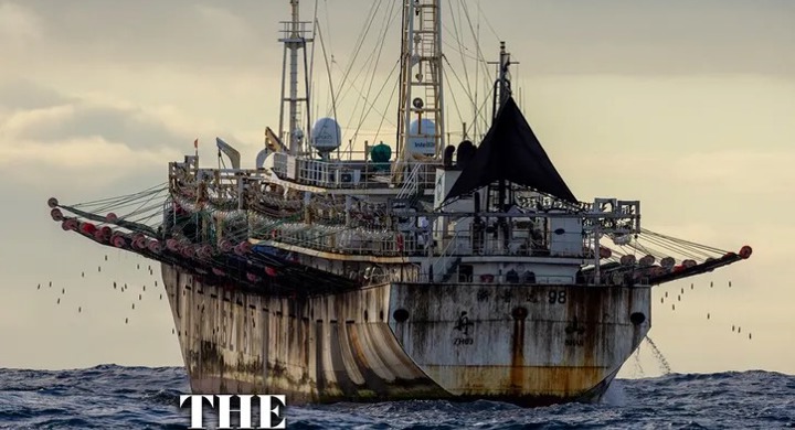 The Outlaw Ocean