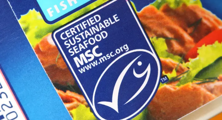 Certification Programs