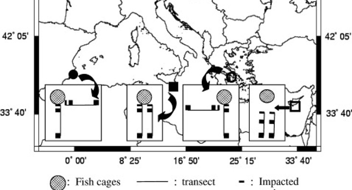 Benthic input rates predict seagrass (Posidonia oceanica) fish farm-induced decline