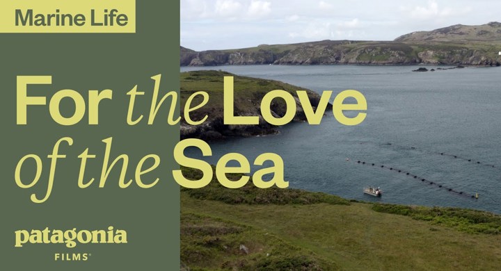 For the Love of the Sea
