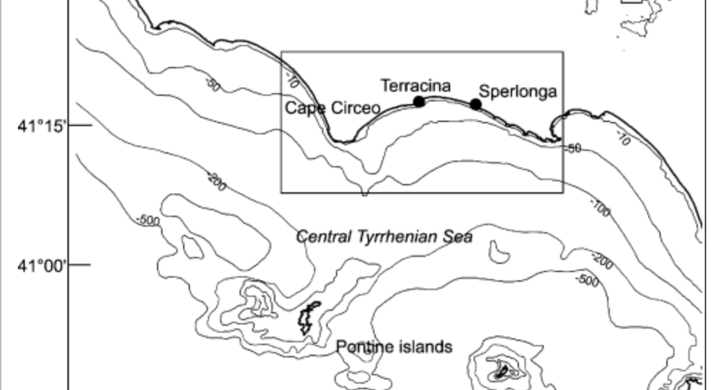 Long‐term change in the structure of a Posidonia oceanica landscape and its reference for a monitoring plan
