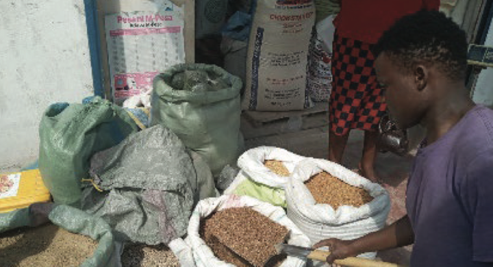 Socio-Economic and Biological Impacts of the Fish-Based Feed Industry for Sub-Saharan Africa