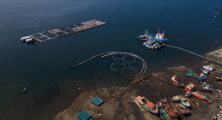 The Perils of Farming Salmon in a Warming World