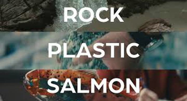 Rock, Plastic, Salmon