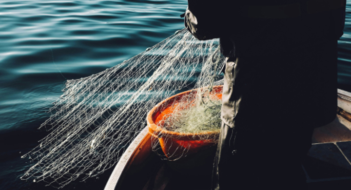 Fishing netbeing cast at the back of a boat
