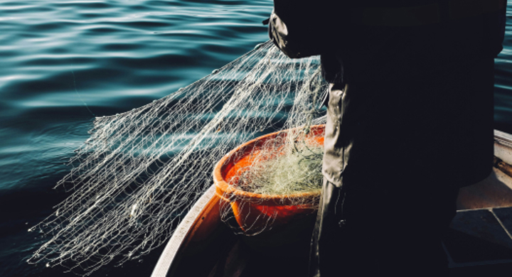Marine ecosystems are turned into dead zones